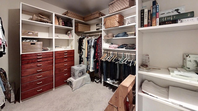 12326 Falk Trl, Northfield, MN 55057 - walk in closet featuring carpet flooring