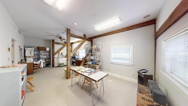 12326 Falk Trl, Northfield, MN 55057 - office space with ceiling fan, light carpet, and baseboards