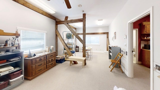 12326 Falk Trl, Northfield, MN 55057 - living area with light carpet and a ceiling fan