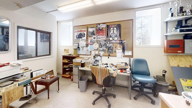 12326 Falk Trl, Northfield, MN 55057 - view of office