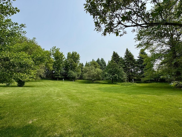 12326 Falk Trl, Northfield, MN 55057 - view of grassy yard