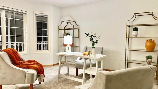 office area with light colored carpet