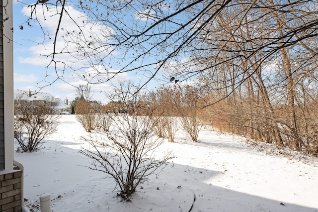 view of yard layered in snow