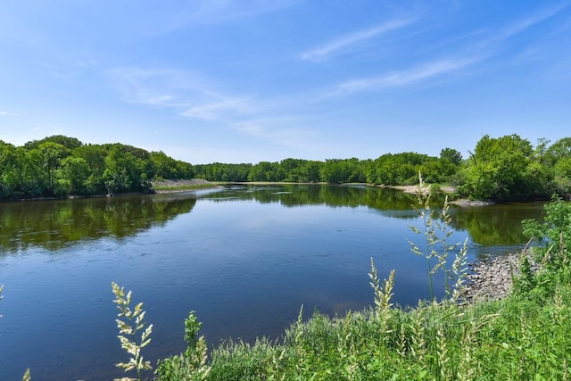 property view of water with a view of trees