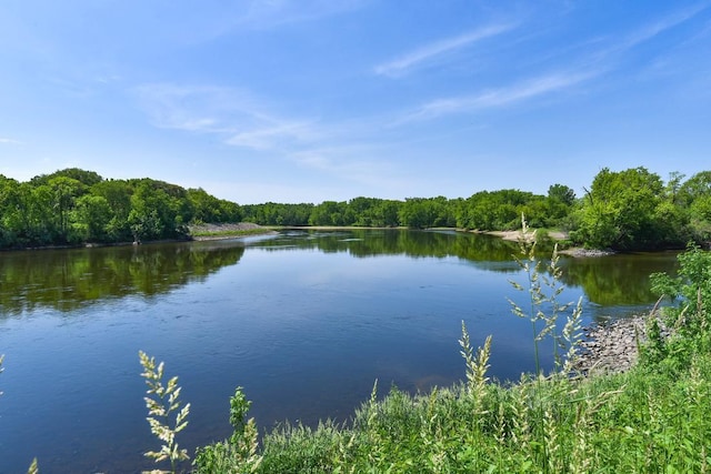 water view with a view of trees