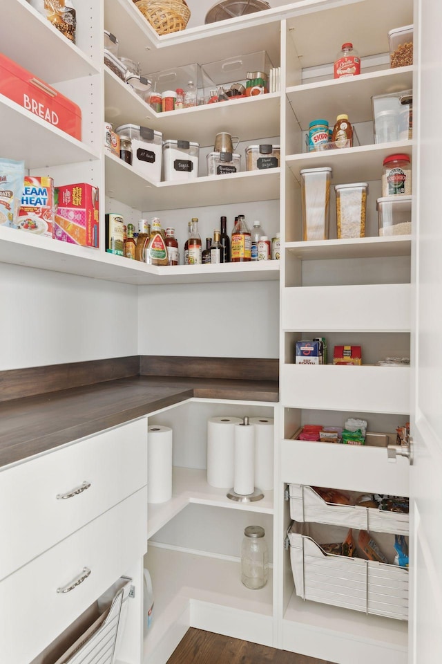 view of pantry