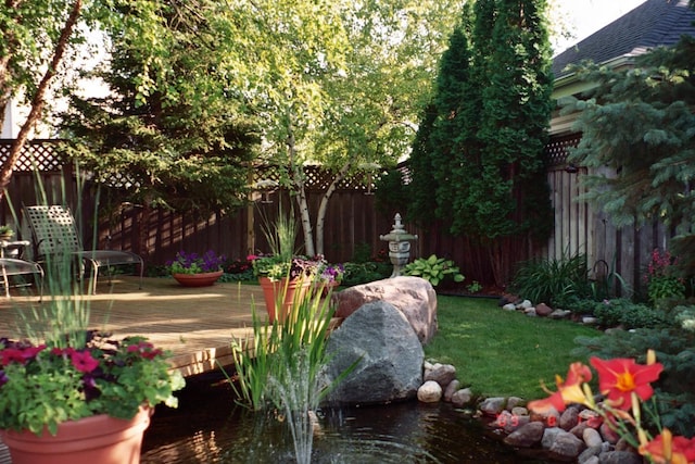 view of yard featuring a deck