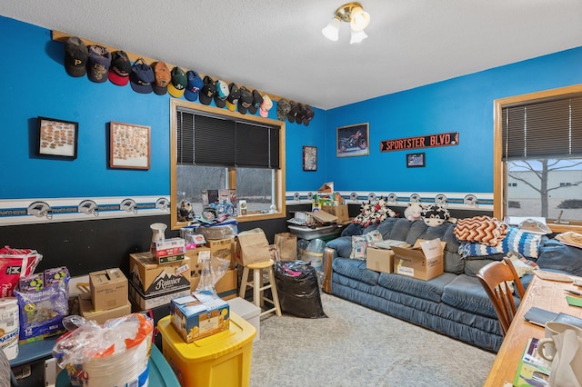 interior space featuring carpet and a textured ceiling