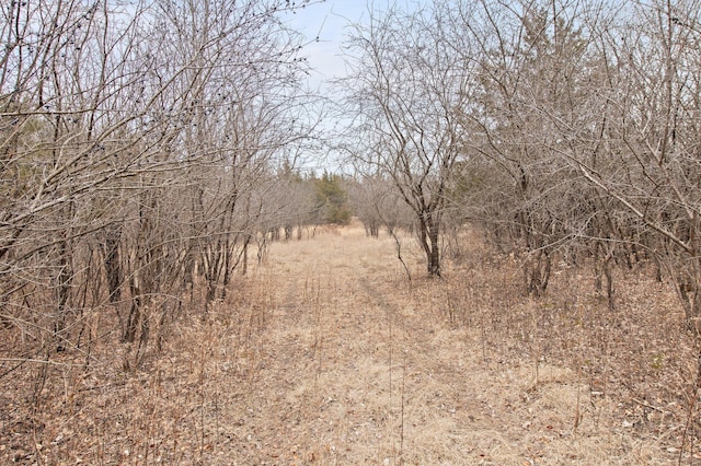 view of landscape