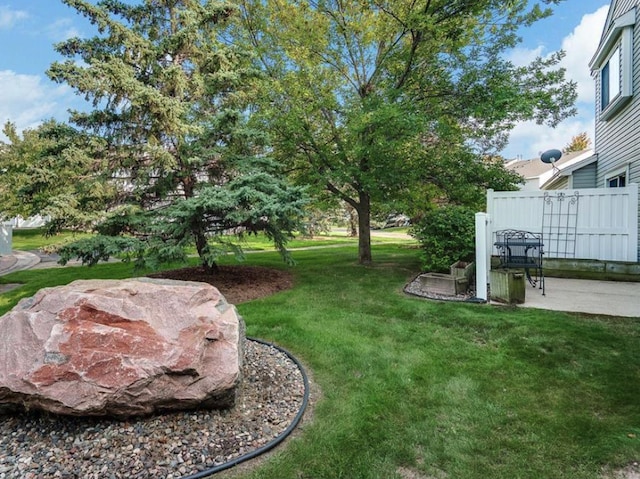 view of yard with a patio area