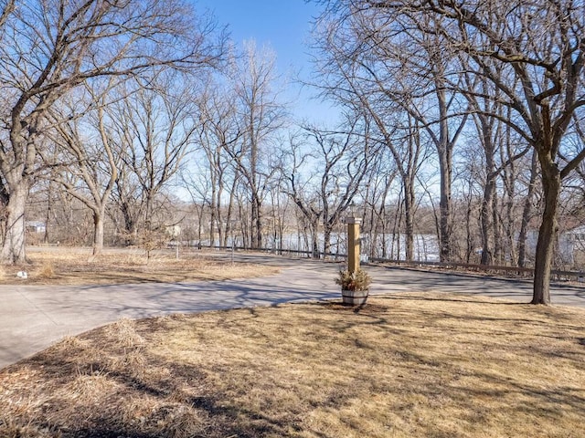 view of yard featuring concrete driveway