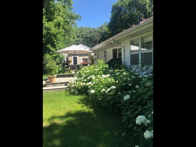 view of yard featuring a deck