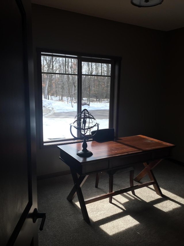 dining room with carpet