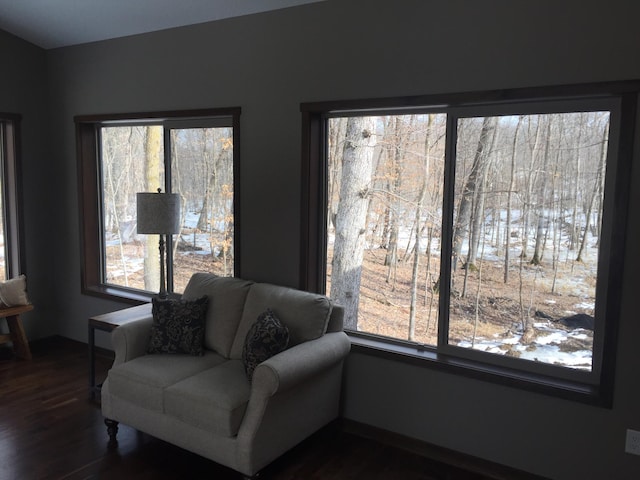 living area featuring a healthy amount of sunlight and dark wood-type flooring