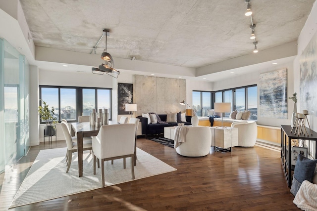 dining area featuring rail lighting and dark hardwood / wood-style floors