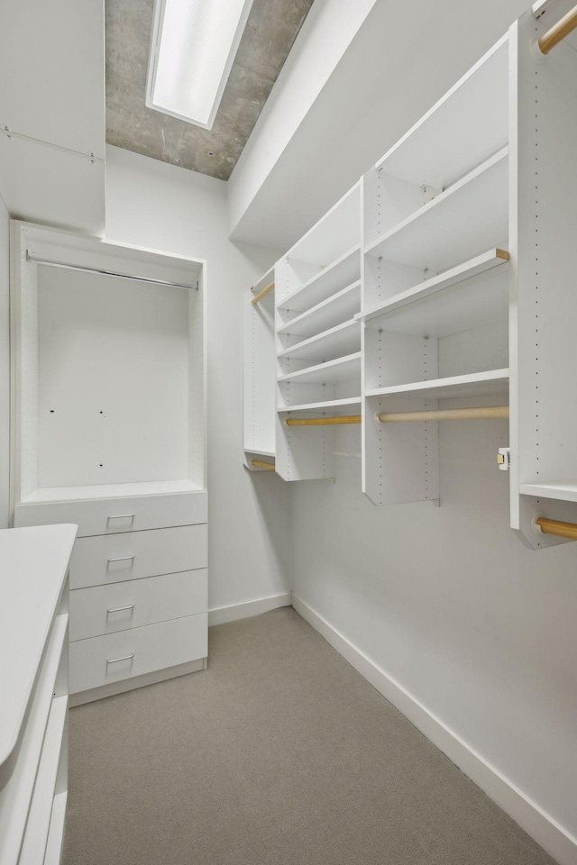 spacious closet featuring light colored carpet