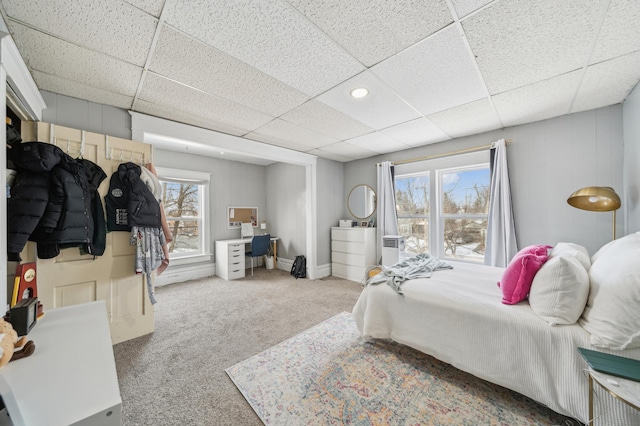 bedroom with multiple windows, carpet, and a drop ceiling