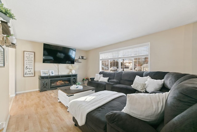 living room with a fireplace and light hardwood / wood-style flooring