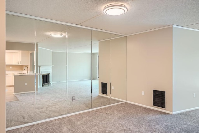 closet featuring sink