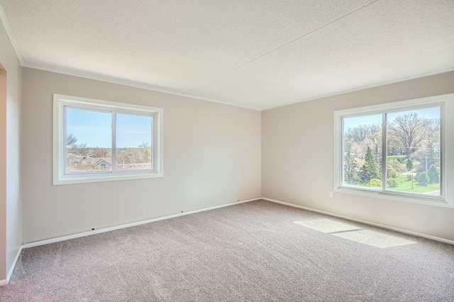 carpeted empty room with a textured ceiling and ornamental molding