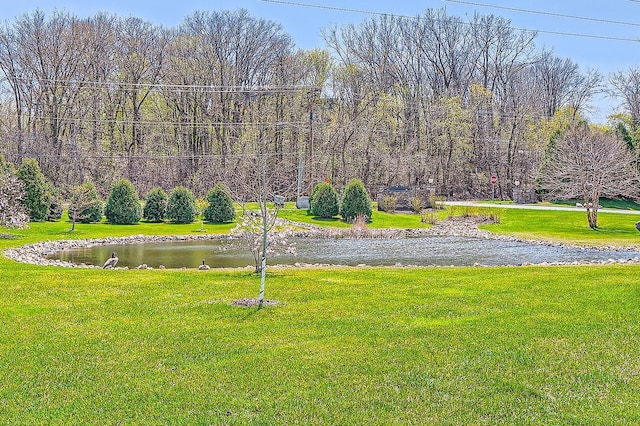 view of community with a lawn and a water view