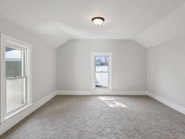 203 4th St, River Falls, WI 54022 - additional living space with carpet, a wealth of natural light, and vaulted ceiling