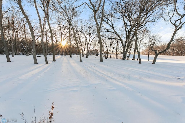 view of snowy yard