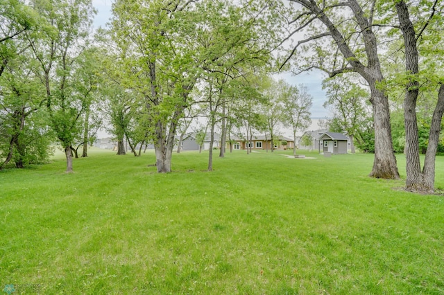 1336 Goldenwood Dr, West Fargo, ND 58078 - view of green lawn