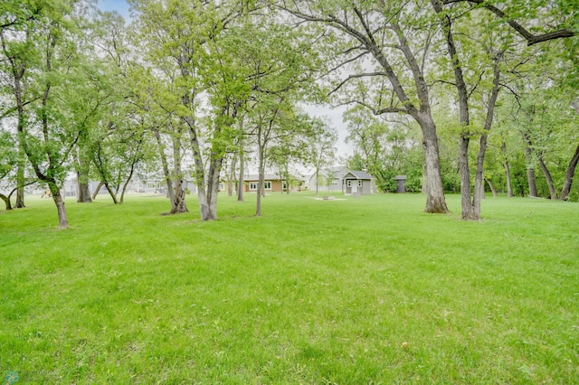 1336 Goldenwood Dr, West Fargo, ND 58078 - view of grassy yard