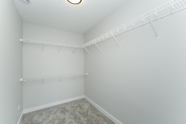 877 Picadilly Ln NW, Rochester, MN 55901 - photo 29