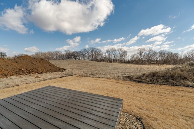 877 Picadilly Ln NW, Rochester, MN 55901 - photo 30