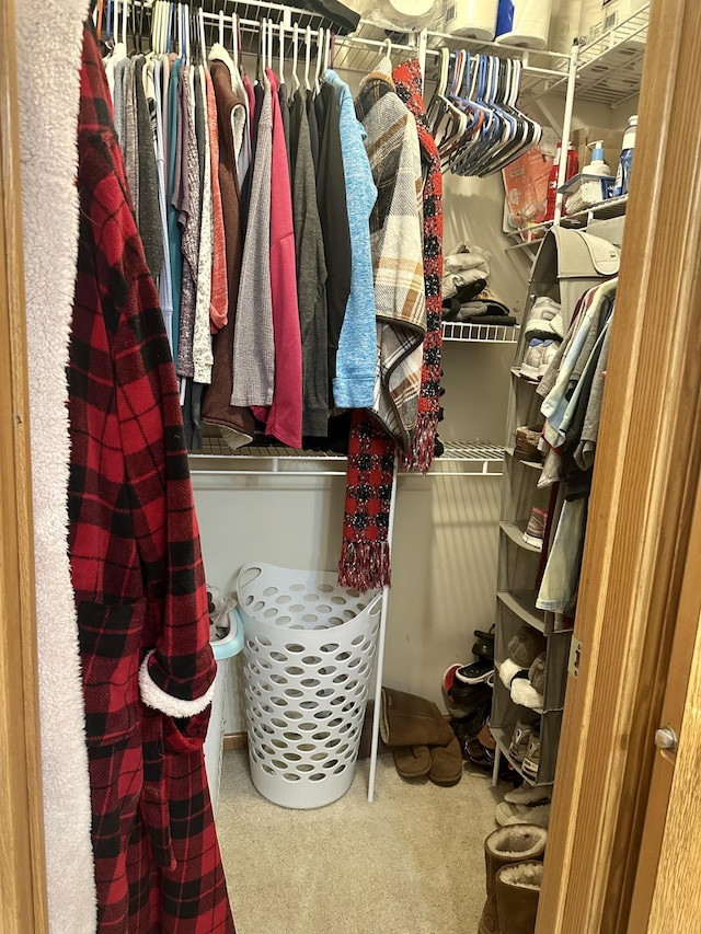 walk in closet featuring carpet floors