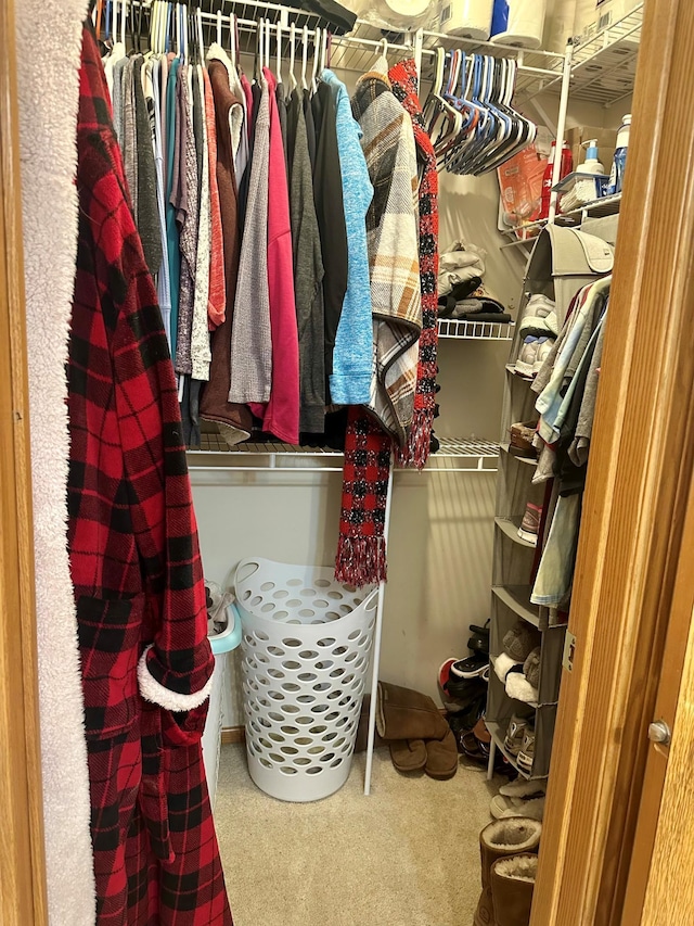 walk in closet with carpet flooring