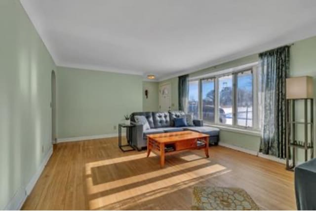 living room with light wood-type flooring