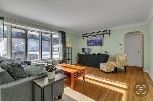 living room featuring hardwood / wood-style floors