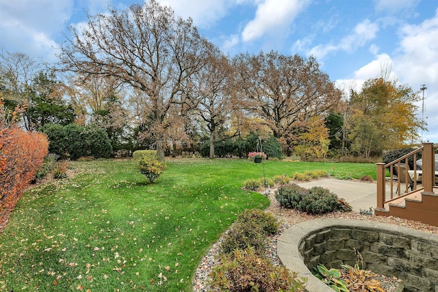 view of yard featuring a patio area