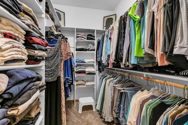 spacious closet featuring carpet flooring