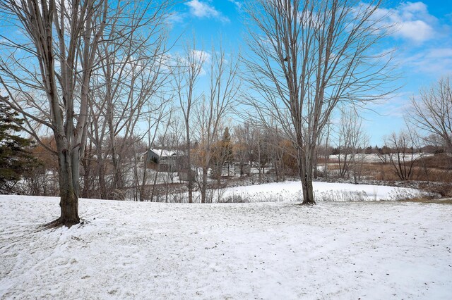 view of snowy yard