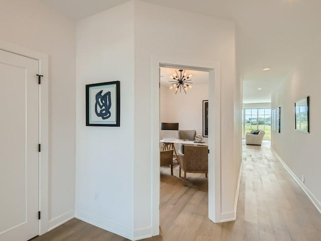 hall featuring hardwood / wood-style flooring