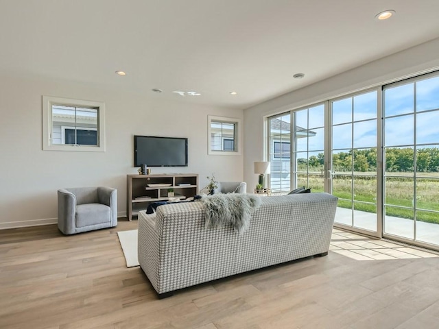 living room featuring light hardwood / wood-style flooring