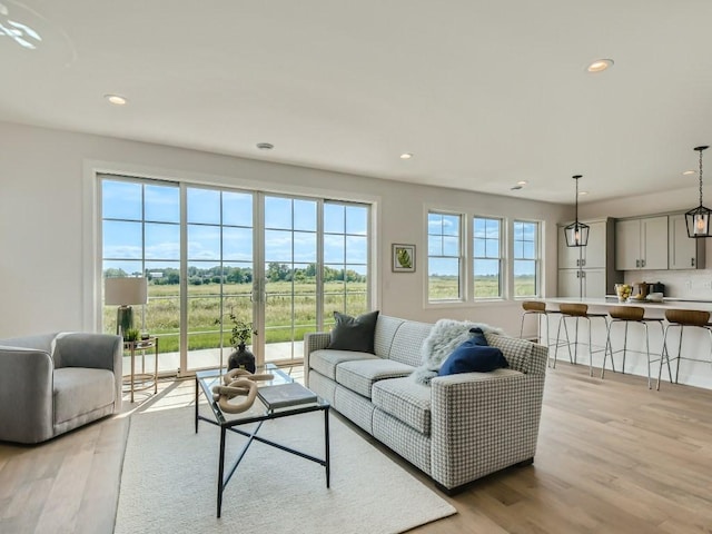 living room with light hardwood / wood-style floors and a wealth of natural light