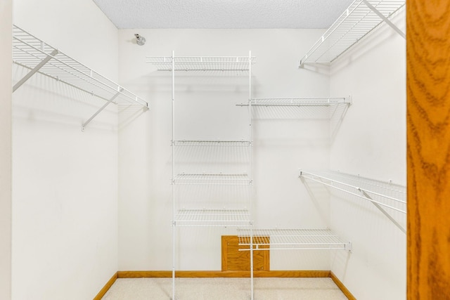 spacious closet featuring carpet flooring