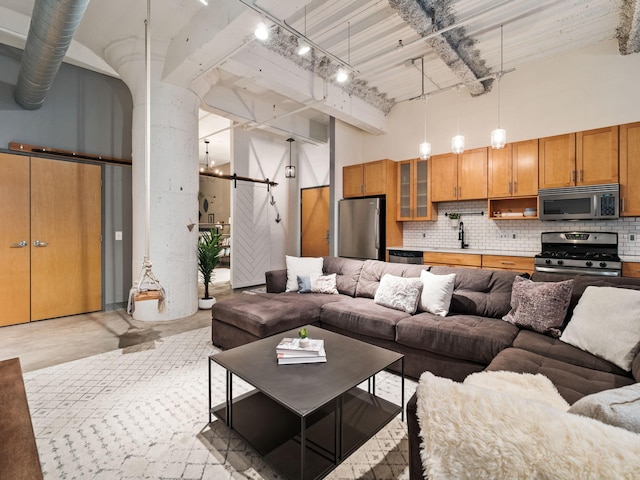 living room featuring sink, a towering ceiling, and rail lighting