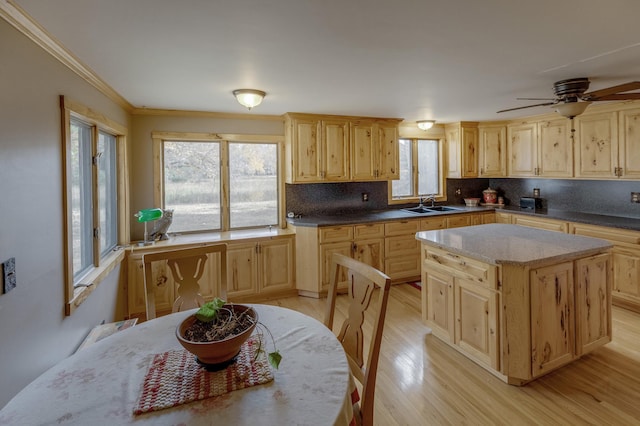 kitchen featuring tasteful backsplash, ornamental molding, a kitchen island, light hardwood / wood-style flooring, and sink