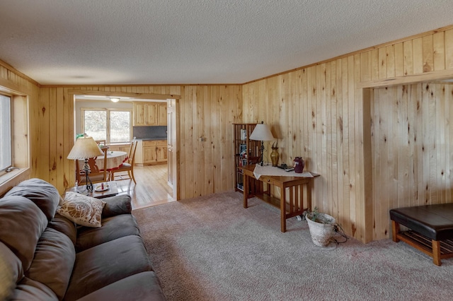 carpeted living room with a textured ceiling