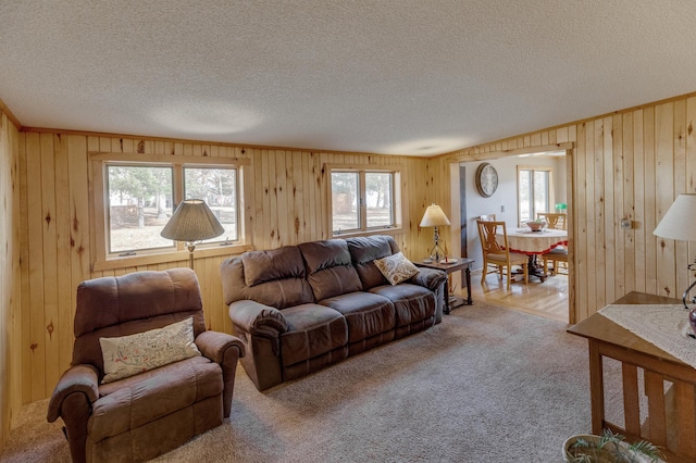 carpeted living room featuring a textured ceiling and a wealth of natural light