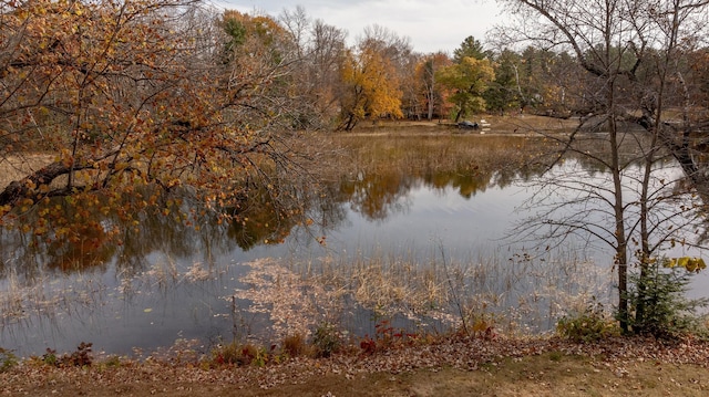 view of water feature