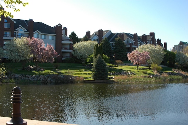 view of water feature