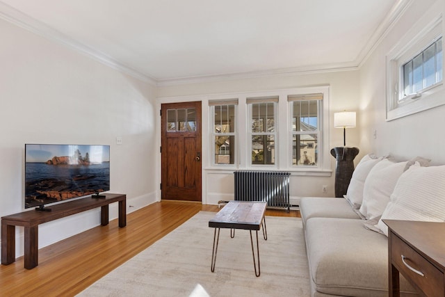 living area featuring light wood-type flooring, baseboards, radiator, and ornamental molding