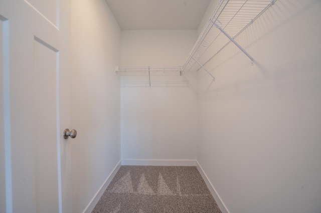 walk in closet featuring carpet flooring